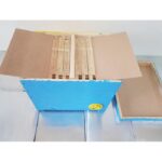 oplodno-sandche-lr (1)